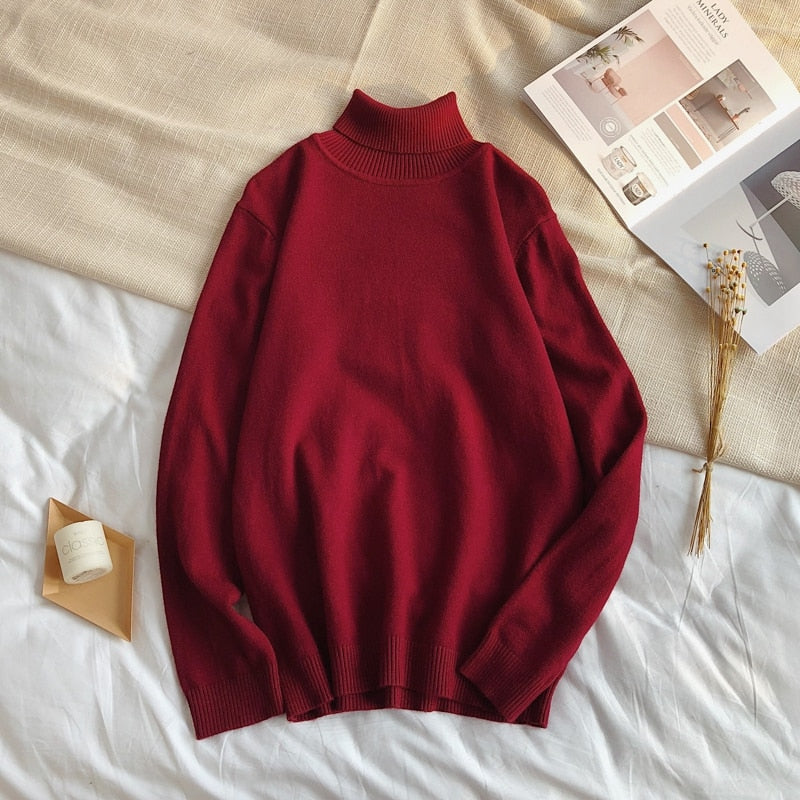 Men's Winter Pullover Turtle Neck Sweater