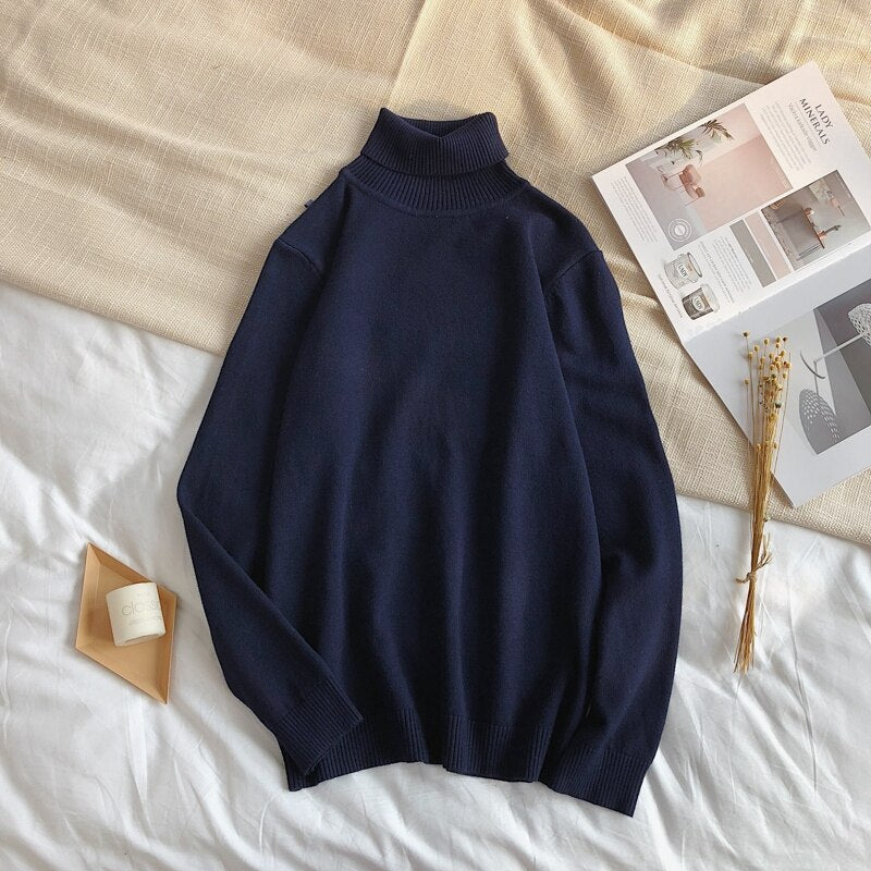 Men's Winter Pullover Turtle Neck Sweater