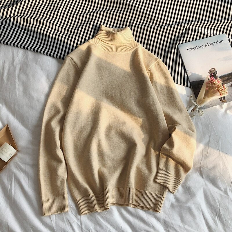 Men's Winter Pullover Turtle Neck Sweater