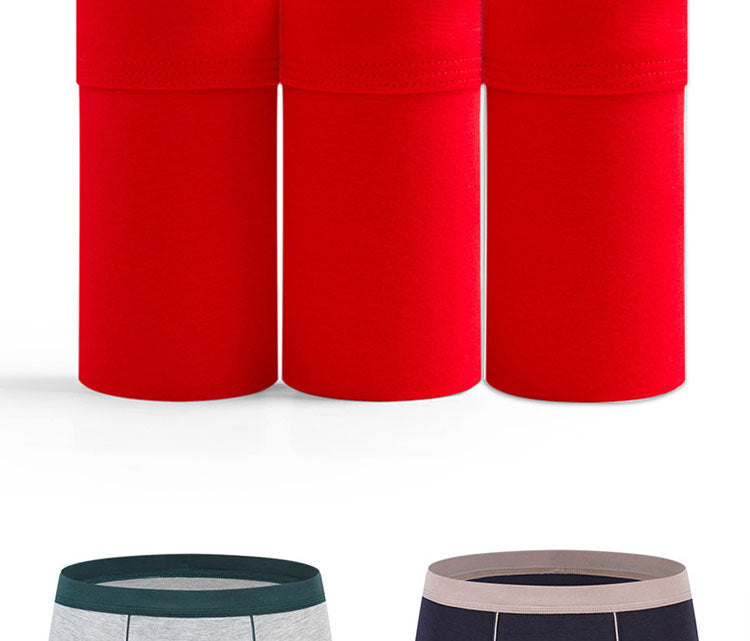 Men's cotton underwear plus size