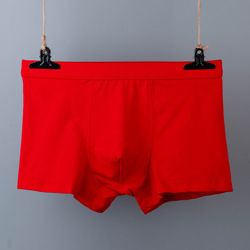 Men's cotton underwear plus size