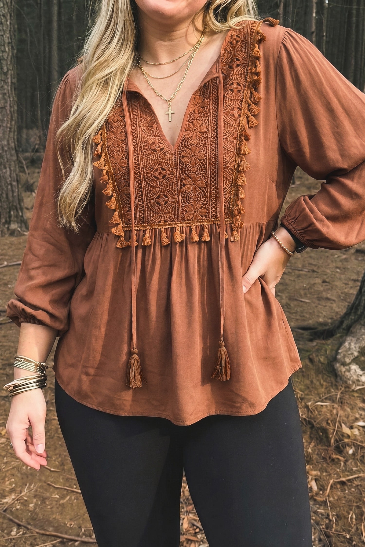 Chestnut  V Neck Embroidered Tassel Long Sleeve Plus Size Blouse
